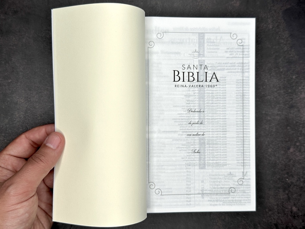 BIBLIA MISIONERA RV1960 AZUL PAISAJE PIRENAICO