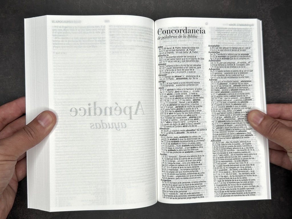 BIBLIA MISIONERA RV1960 AZUL PAISAJE PIRENAICO