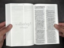 BIBLIA MISIONERA RV1960 AZUL PAISAJE PIRENAICO