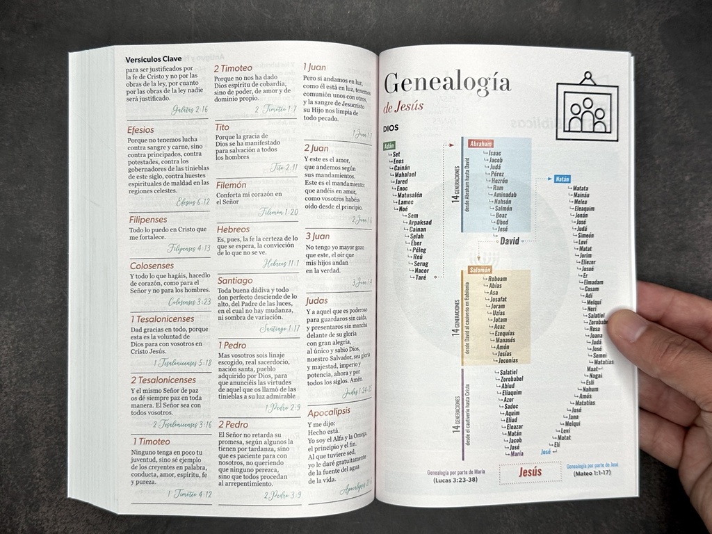 BIBLIA MISIONERA RV1960 AZUL PAISAJE PIRENAICO