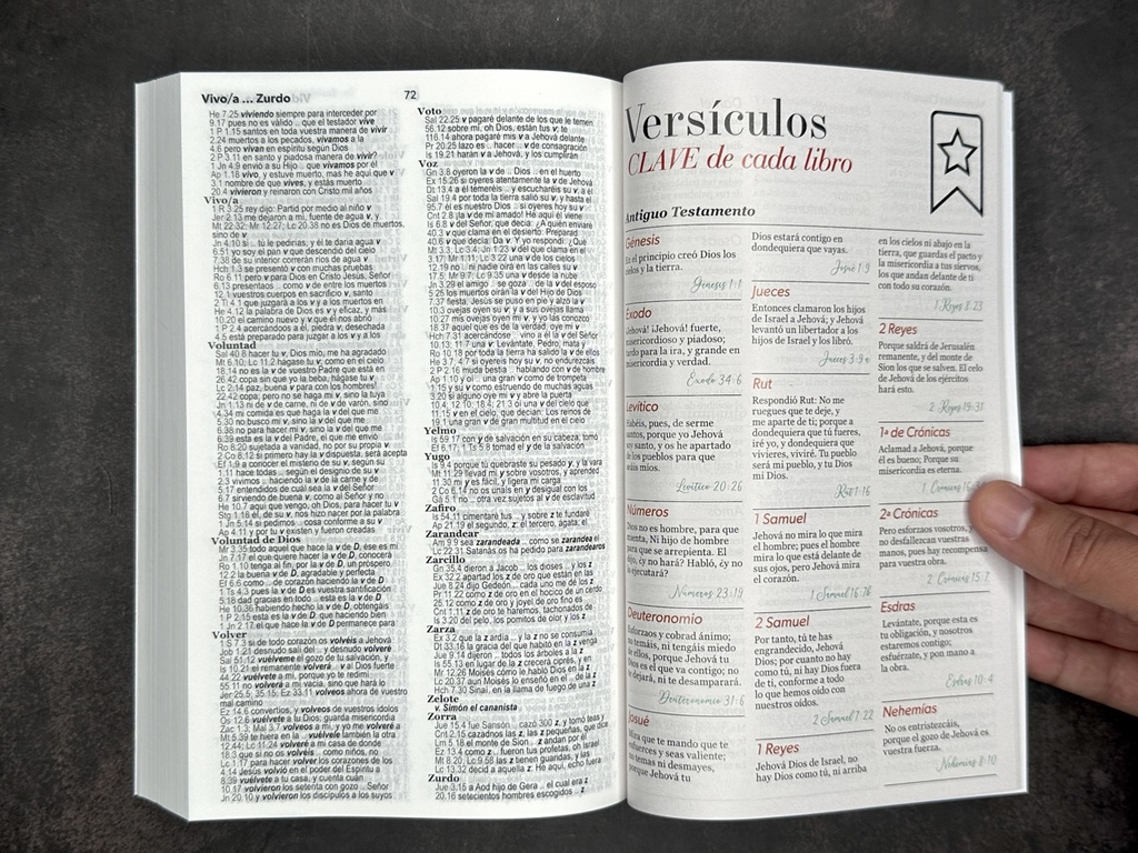 BIBLIA MISIONERA RV1960 LIMA FLORES