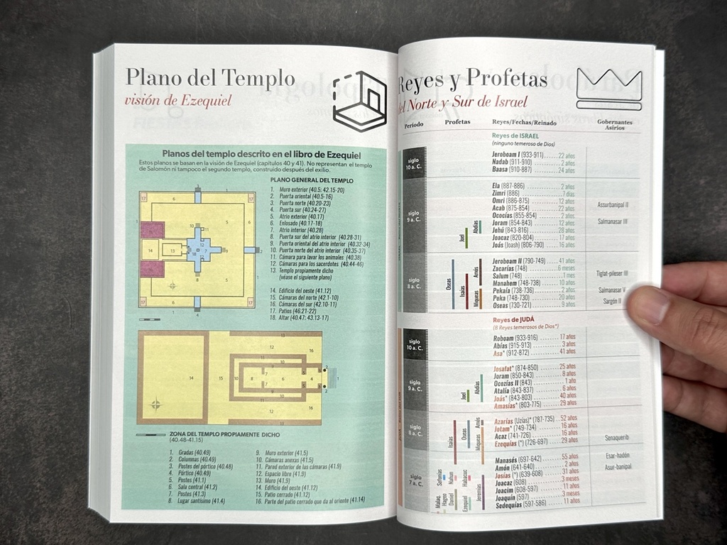 BIBLIA MISIONERA RV1960 MARRON LEON