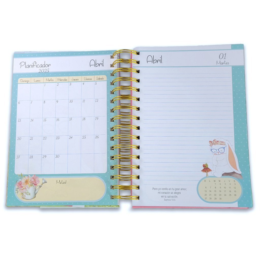 DARA AGENDA