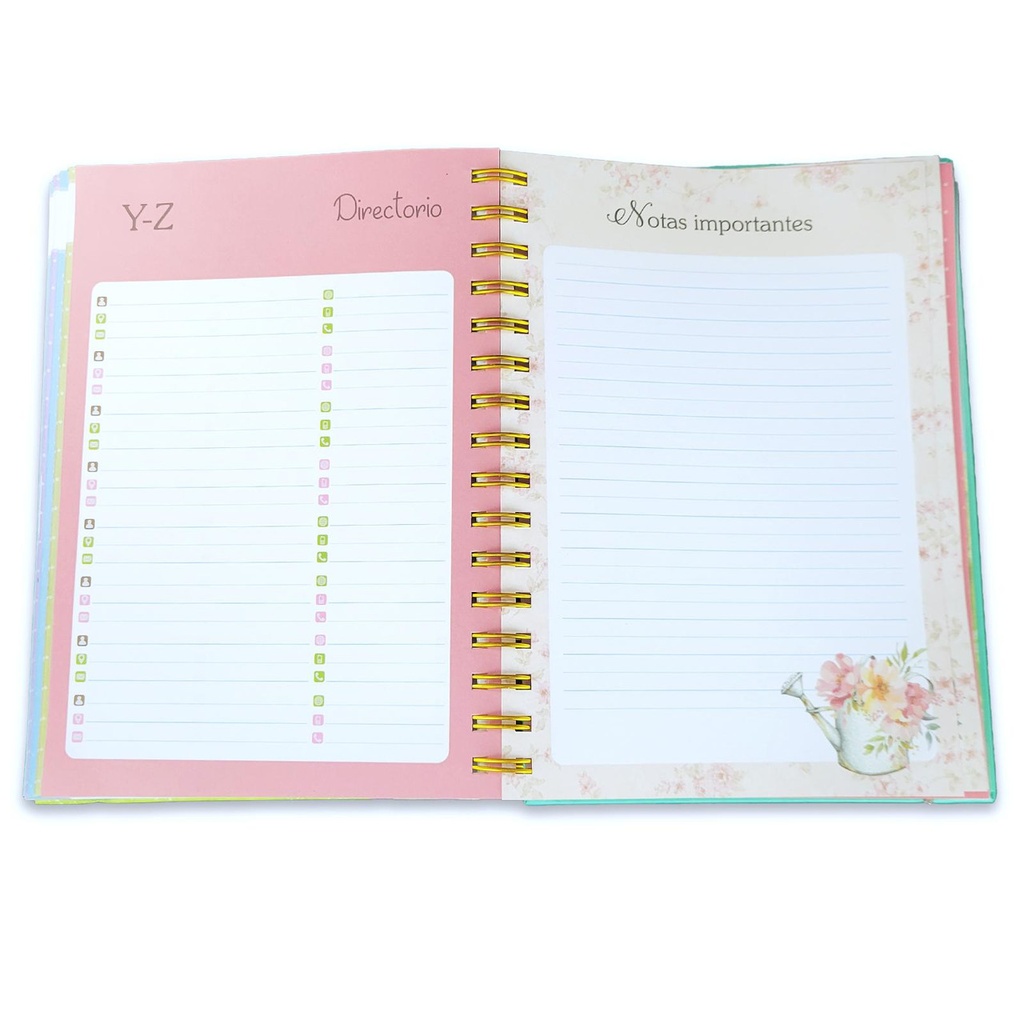 DARA AGENDA