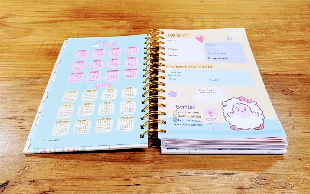 AGENDA BORLITAS 2025 | ROSA