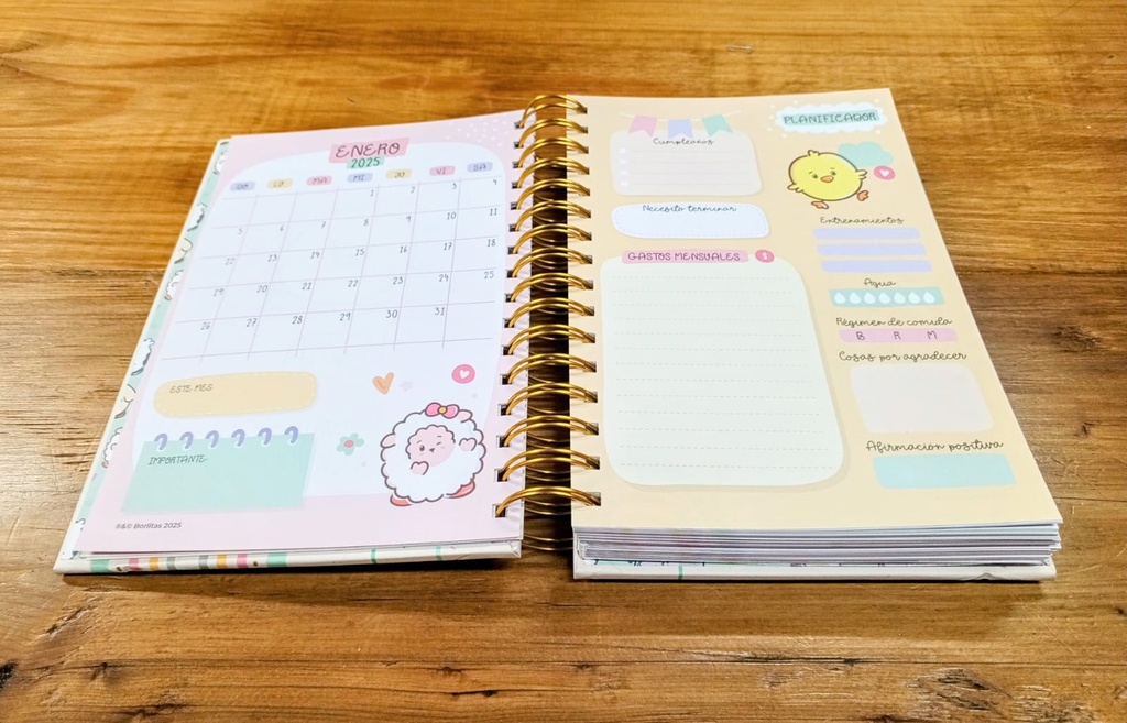 AGENDA BORLITAS 2025 | ROSA