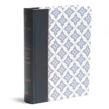 BIBLIA NVI APUNTES BLANCO AZUL LG