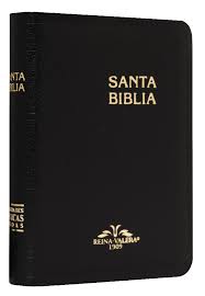 SANTA BIBLIA RV1909 TS BOLSILLO NEGRO
