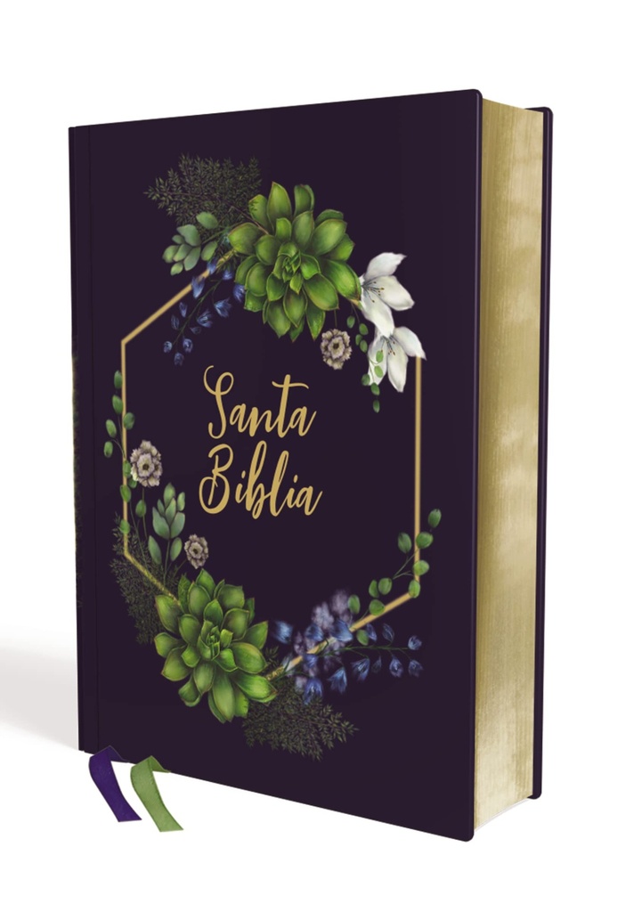 SANTA BIBLIA EDICION ARTISTICA NVI TD TELA 