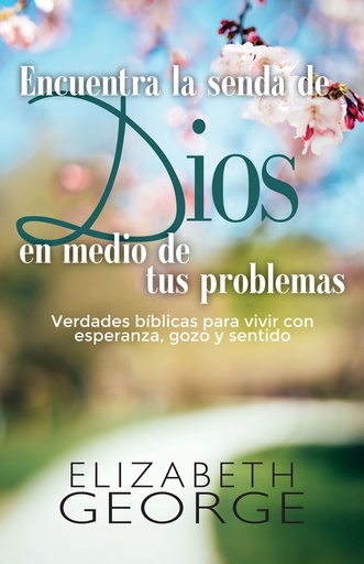 [9780825458620] ENCUENTRA LA SENDA DE DIOS EN MEDIO DE TUS PROBLEMAS