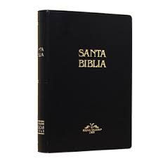 [9781576970003] SANTA BIBLIA RV1909 MEDIANO NEGRO VINIL
