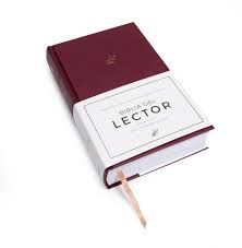 [9781462776214] BIBLIA DEL LECTOR NVI TELA TD VINO