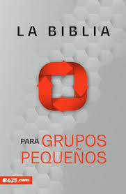 [9781946707536]  LA BIBLIA PARA GRUPOS PEQUEÑOS NBV TAPA RUSTICA