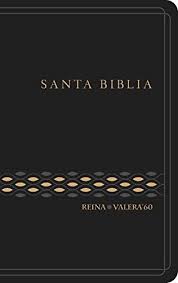 [9788480832830] BIBLIA RVR062c  VINIL C/CONCORD. NEGRO