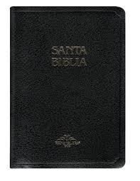 [9781576978795] SANTA BIBLIA RV1909 MEDIANA COLOR NEGRO