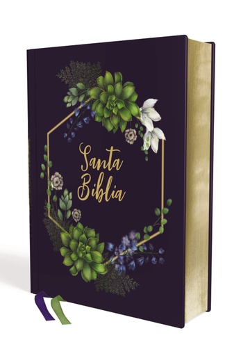 [9780829771862] SANTA BIBLIA EDICION ARTISTICA NVI TD TELA 