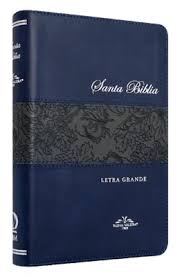 [9788941298441] SANTA BIBLIA RV1909 LG SBM TS AZUL
