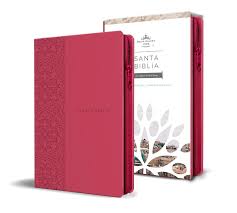 [9781644731017] BIBLIA RV60 TM PIEL