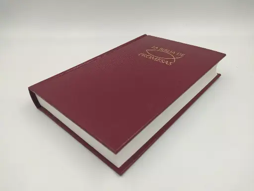 [9780789921550] LA BIBLIA DE PROMESAS C/ CONCORDANCIA TD VINO