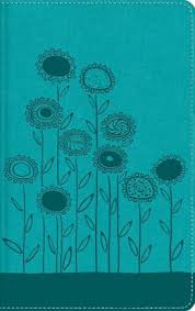 [9780829772449] BIBLIA VISUAL DE ESTUDIO PARA NIÑOS NBLA LEATHERSOFT AQUA