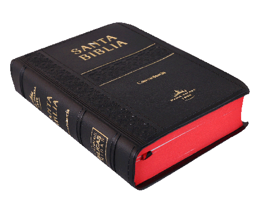 [7899938402764] SANTA BIBLIA RV1960 C/ CONCORDANCIA TAMAÑO BOLSILLO VINIL NEGRO